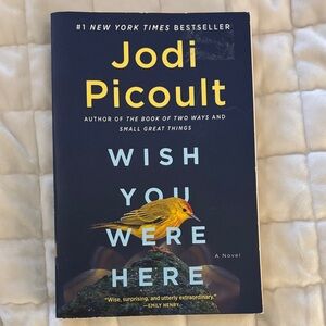 'Wish You Were Here' Novel - by Jodi Picoult